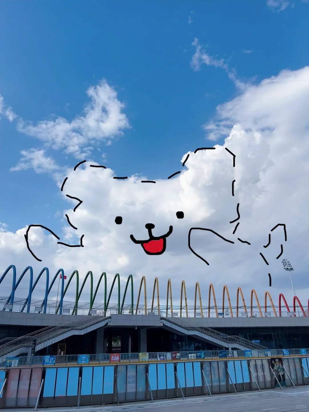 那个自由泳根本游不到50m的女的😅