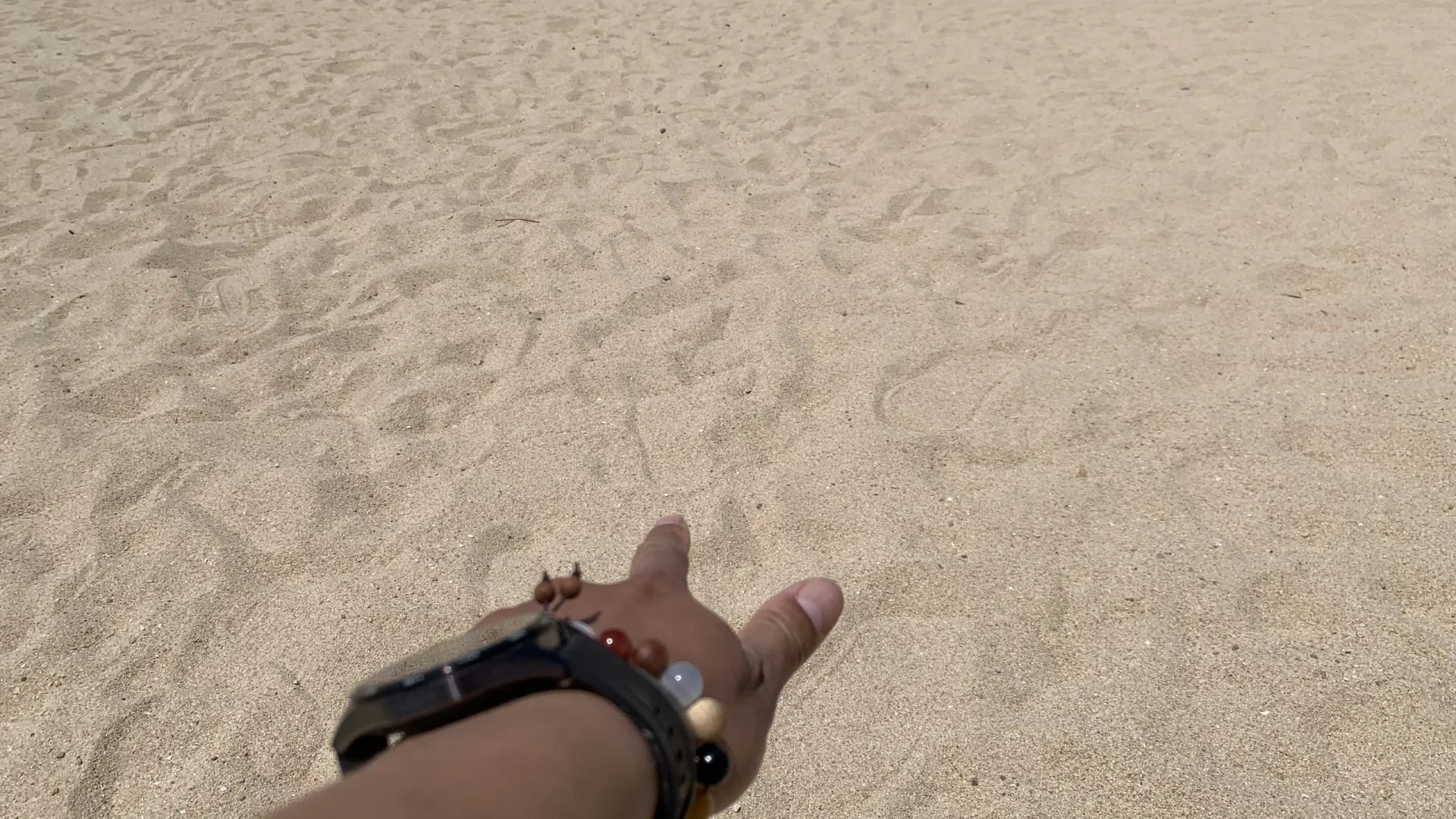 今天泳个池~🛹🏊