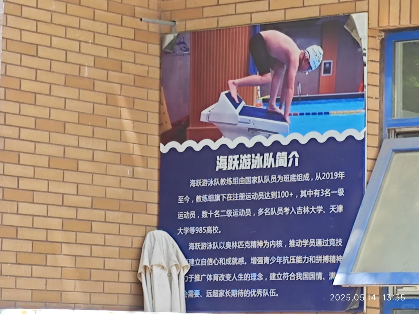 海淀女研究生学自由泳