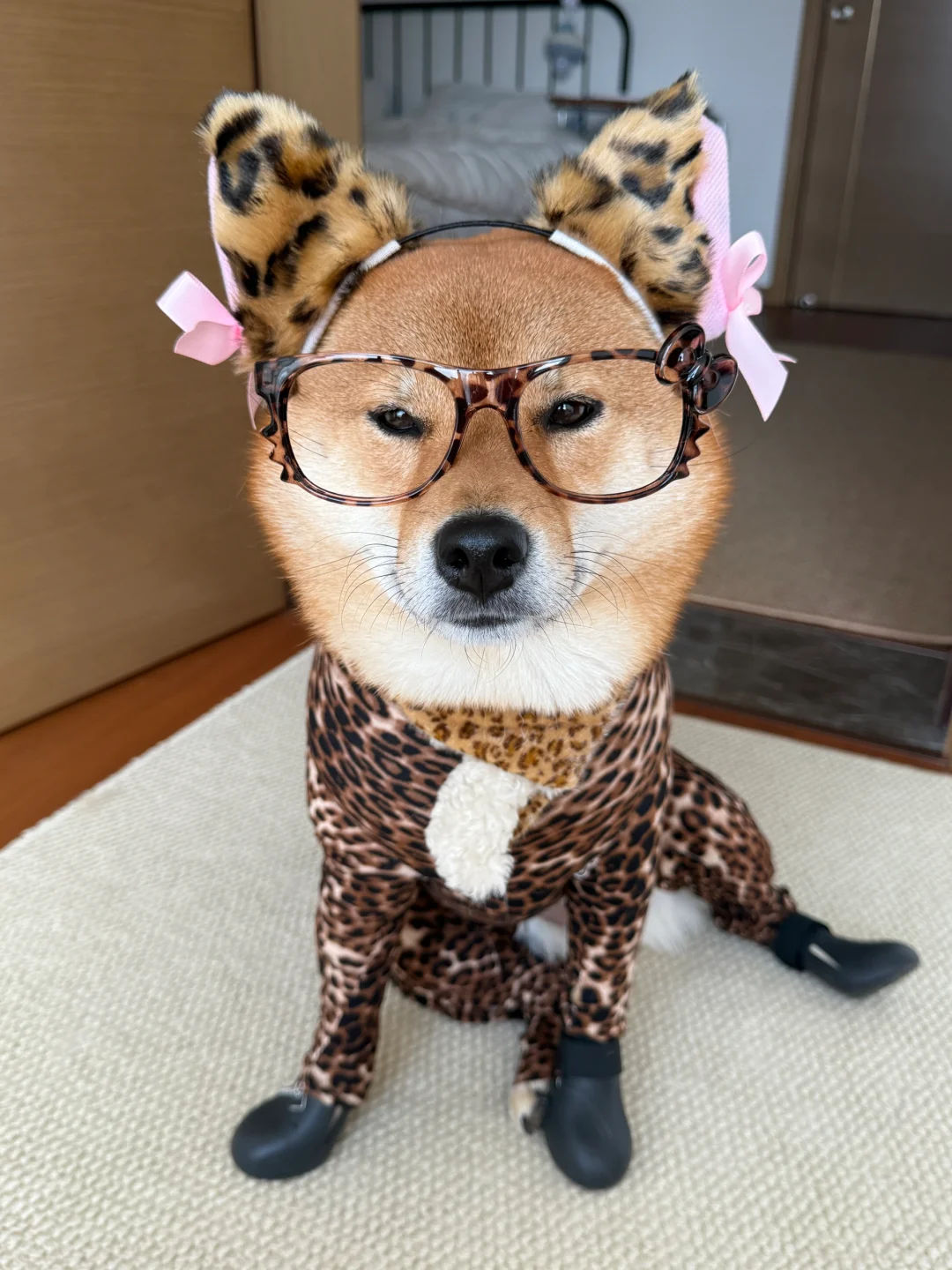 没人喜欢这种性感小野猫吗