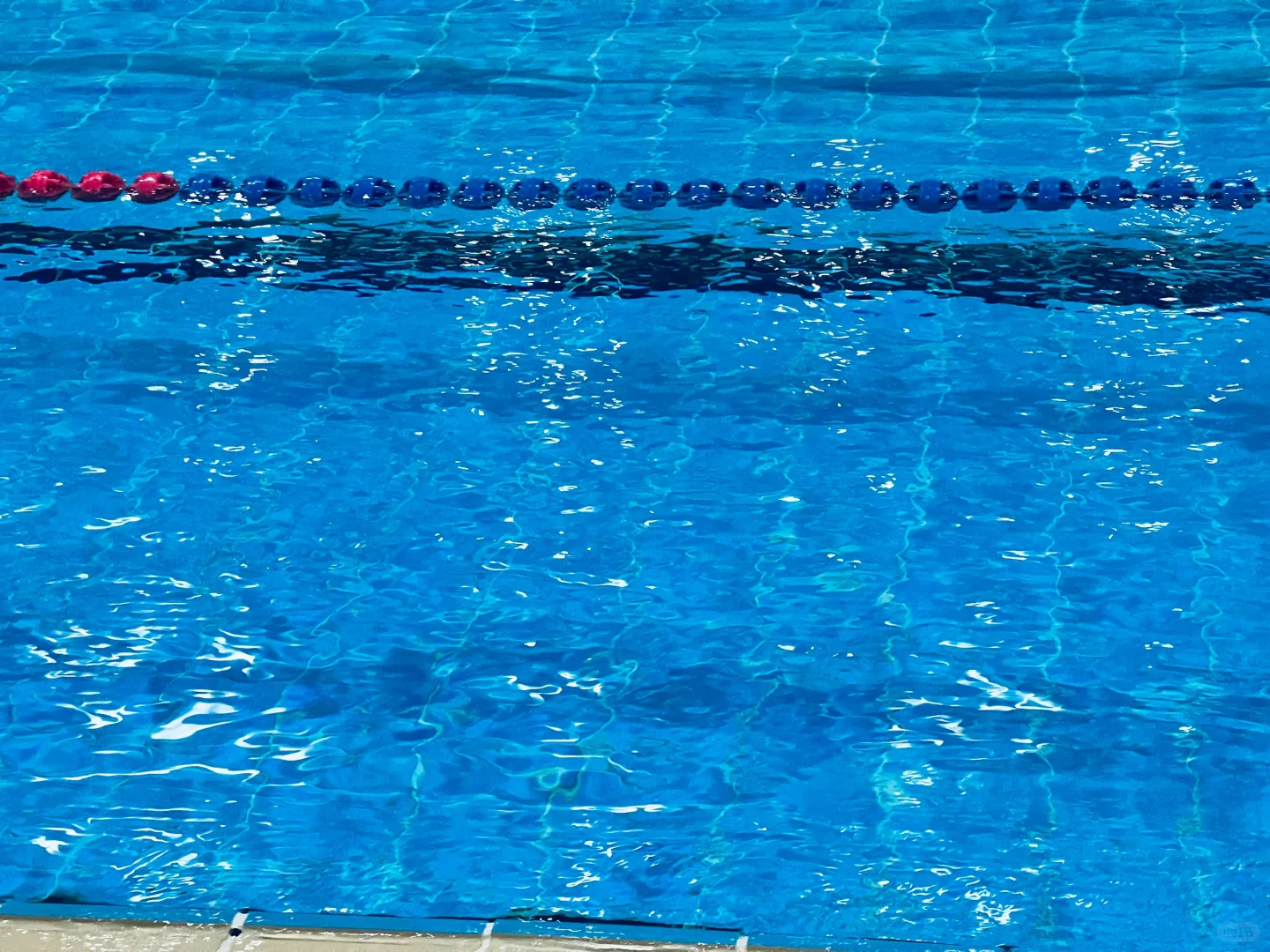 🏊‍♀️学游泳一年教会我的人生哲理「共勉」