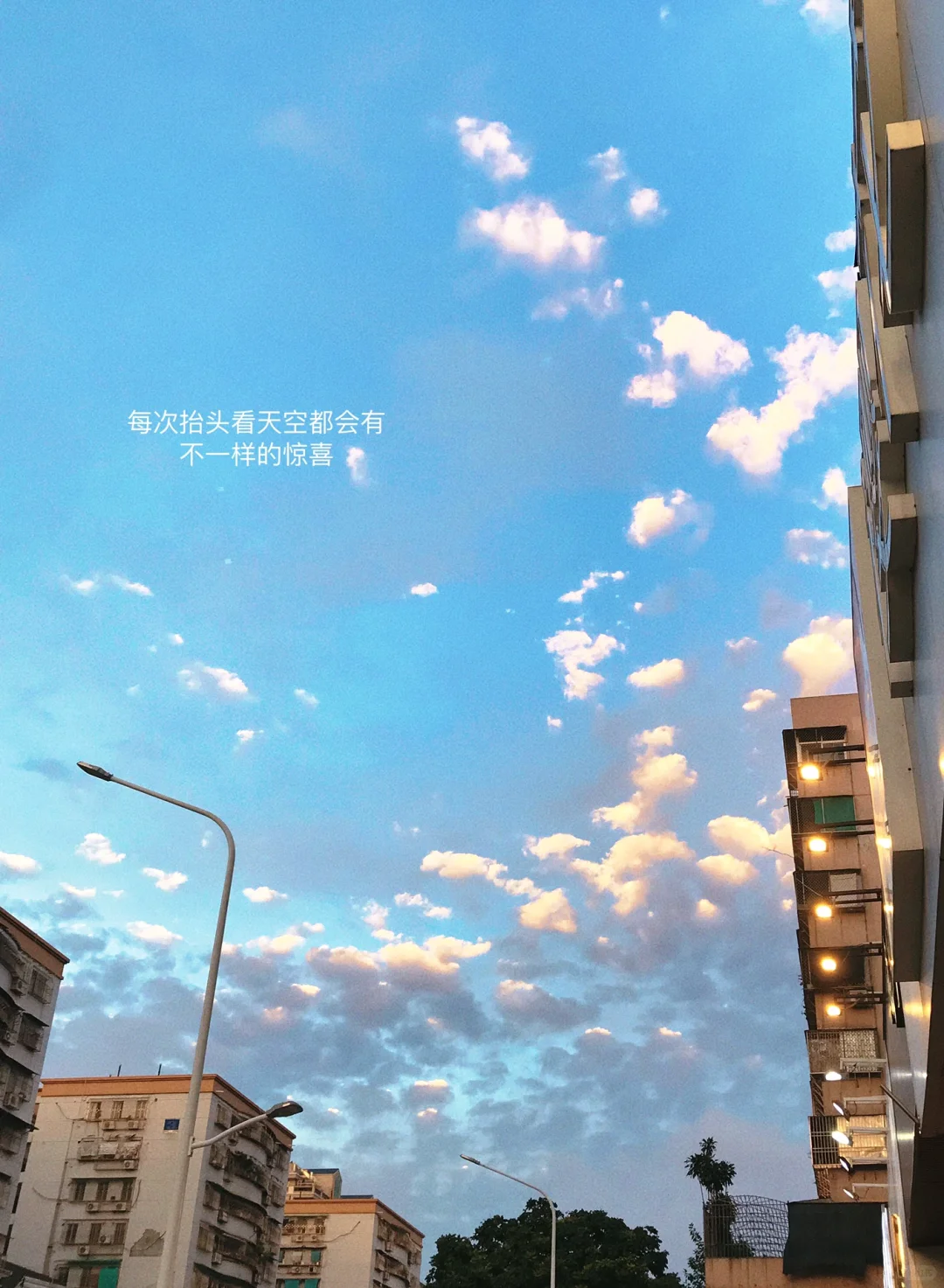 游泳｜一头扎进水里的快乐🐟🐟