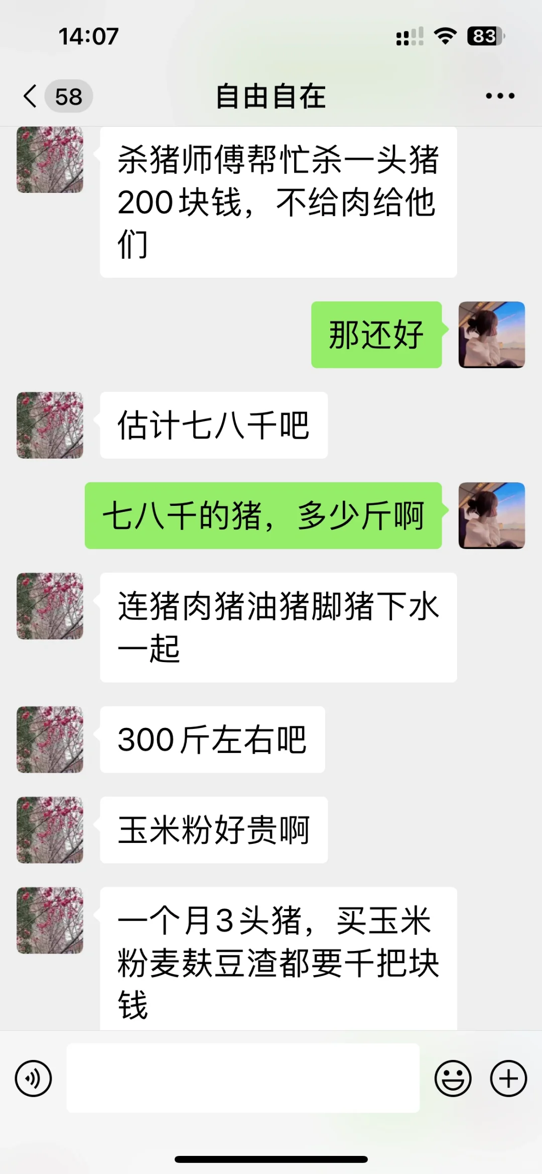 300?ǧ壬