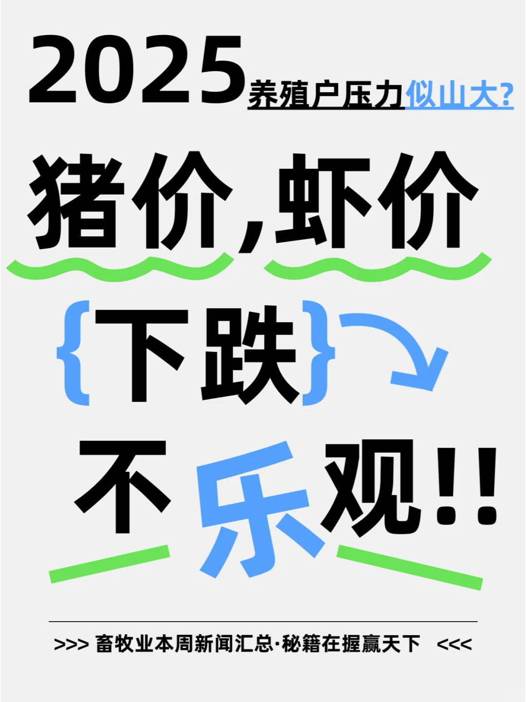 Ϻ۸qiangȿ