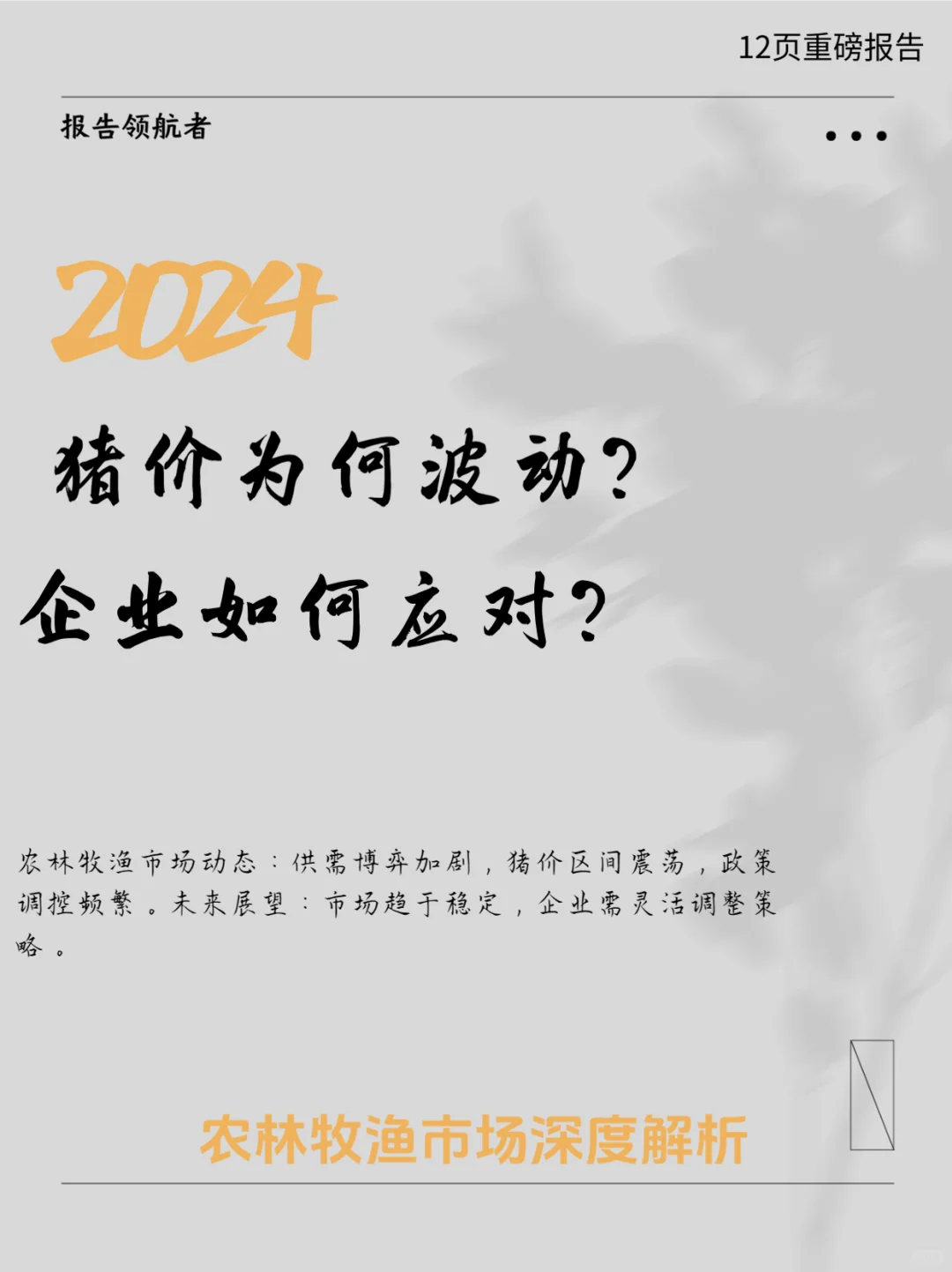 2024ũҵ