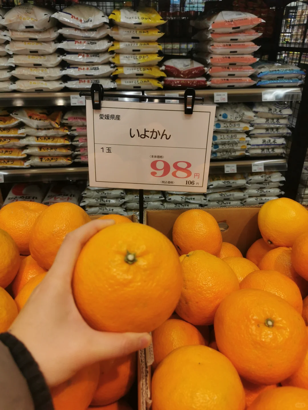 牛头店新店开业，西区南堀江 1.16～19促销