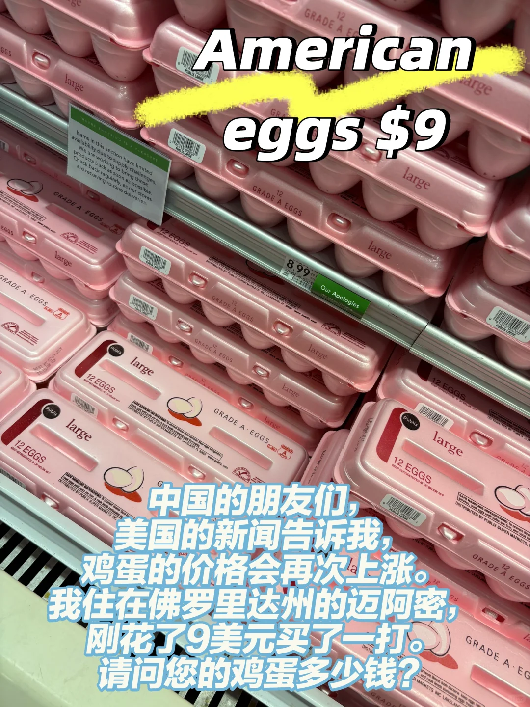 ļ۸ Price of American eggs