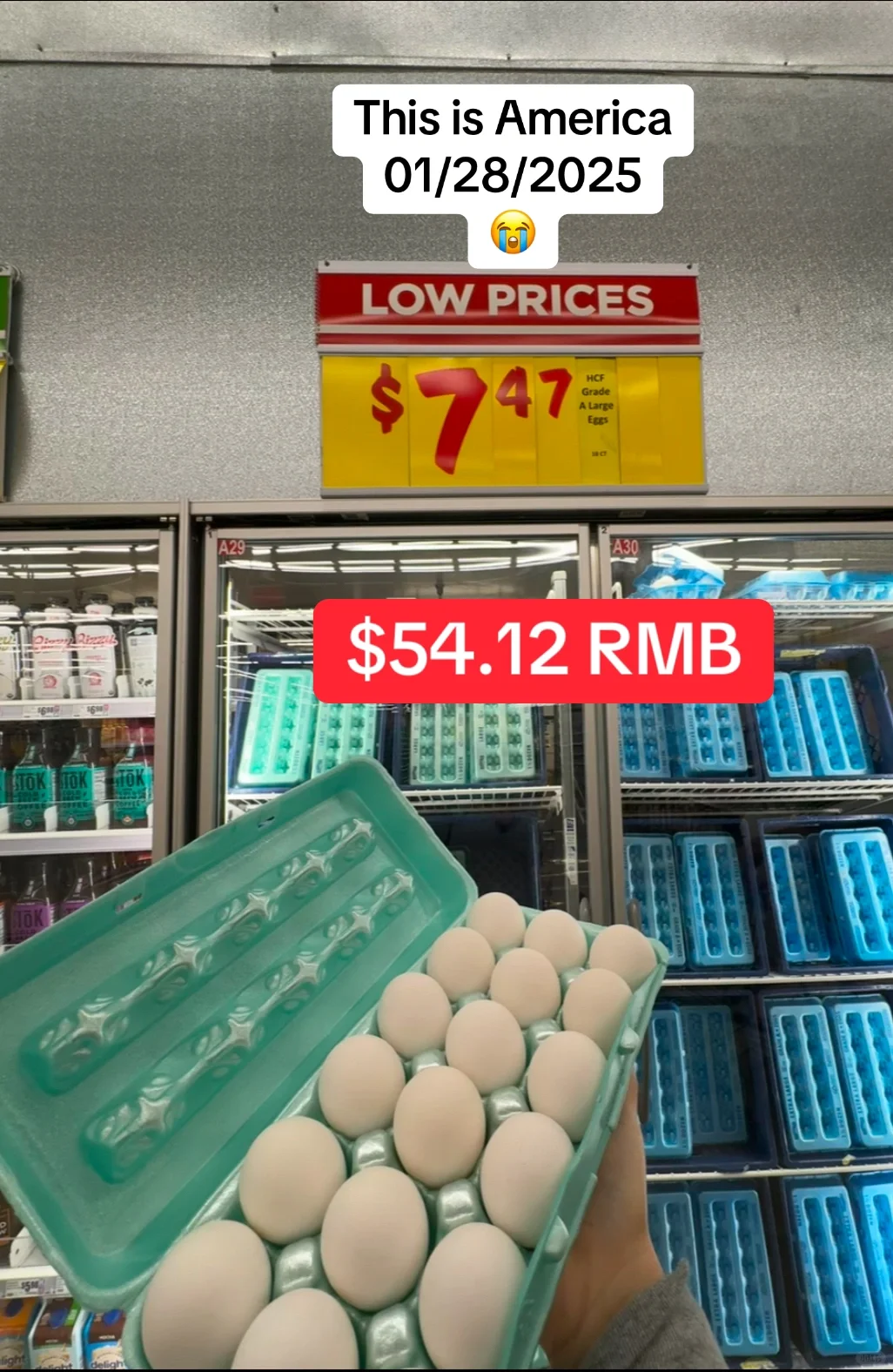 Todays egg prices