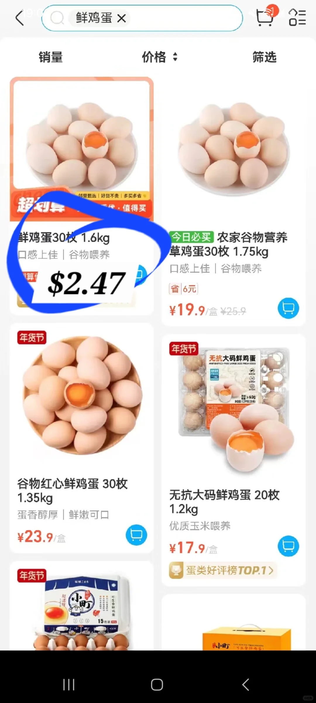 Egg Prices ۸