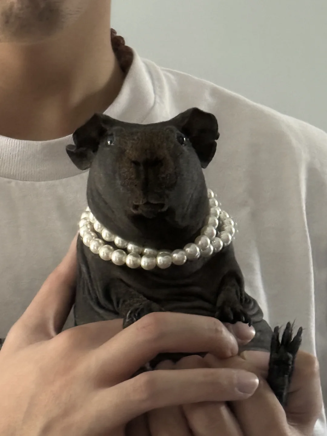  겻