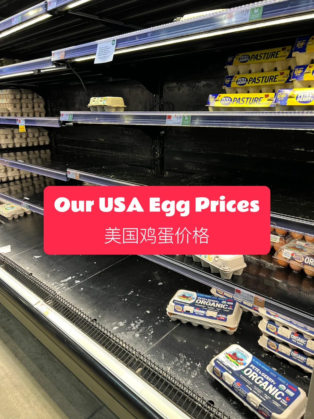 USA Egg Prices ۸