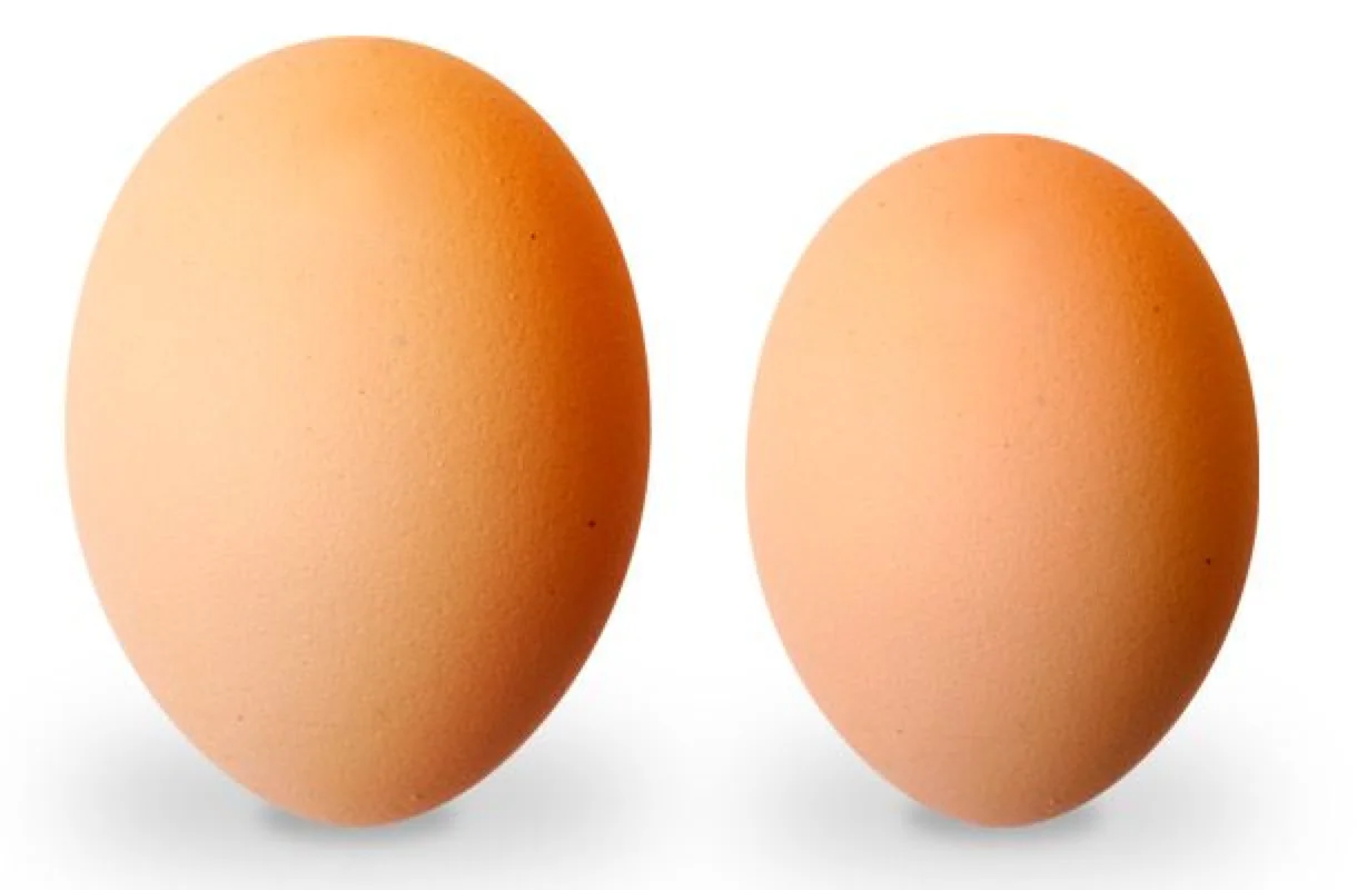 ǳԵļʲôƷʣ Աչʾ