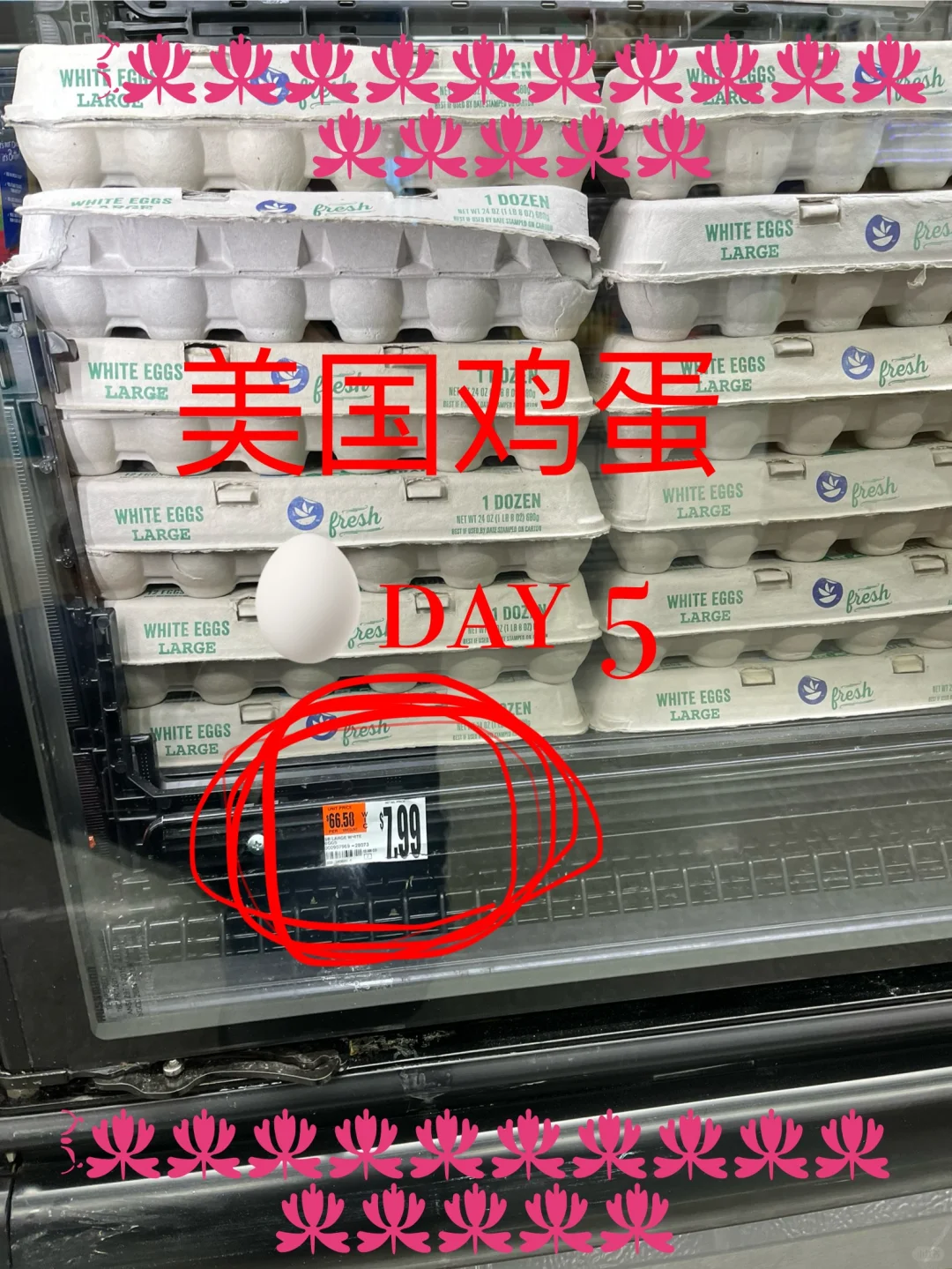 ?Ǯ day 5??