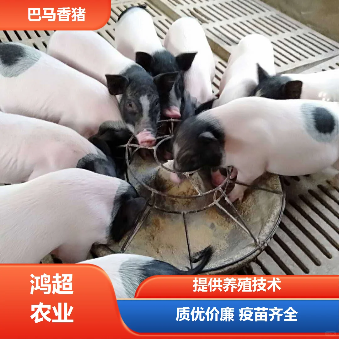 ͲаǮ