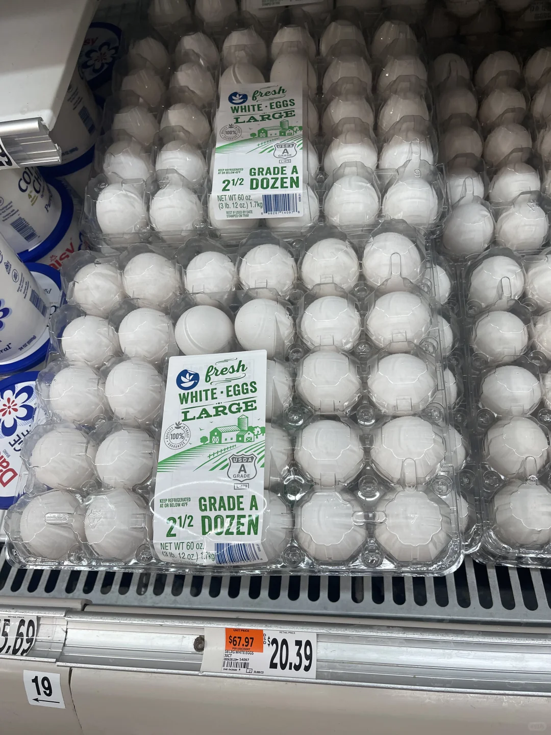 ŦԼ?