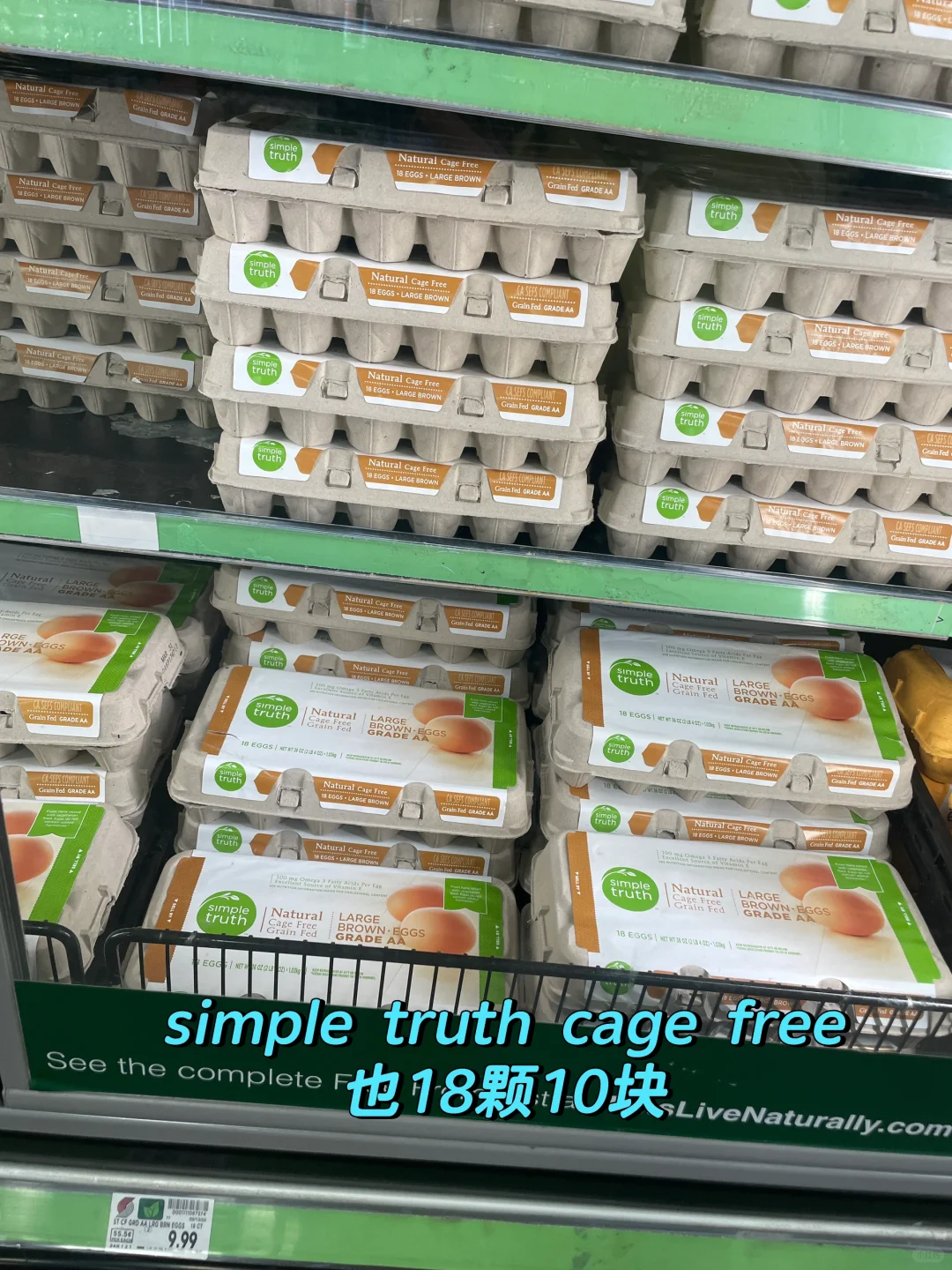 ??Ľˣü۸