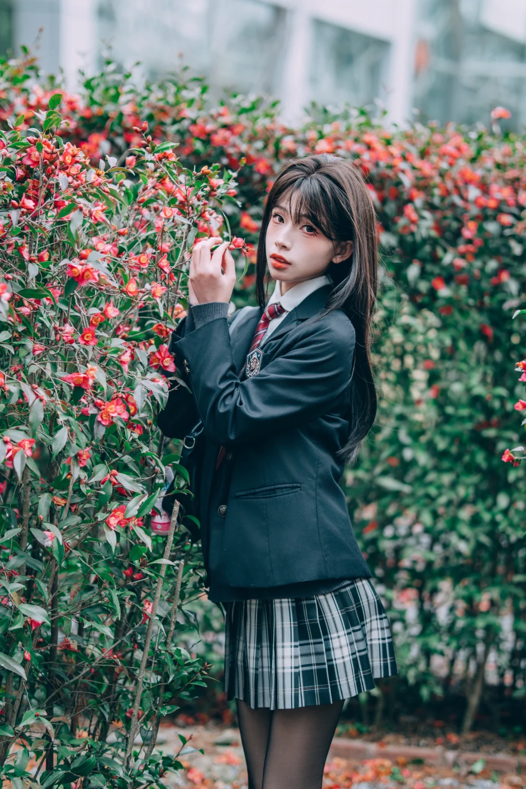 ɽ軨jk