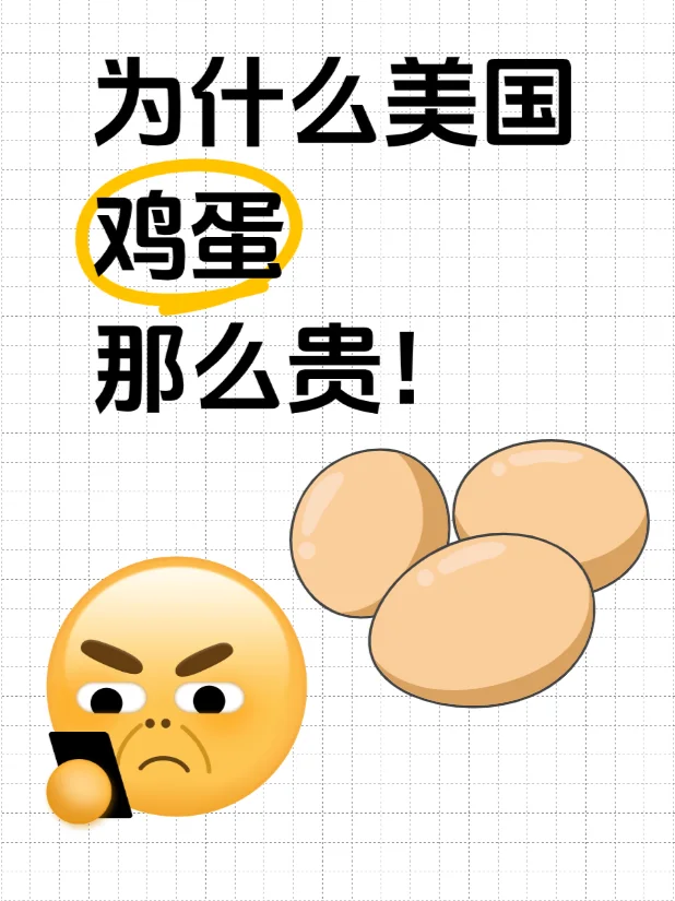 Ϊʲôô