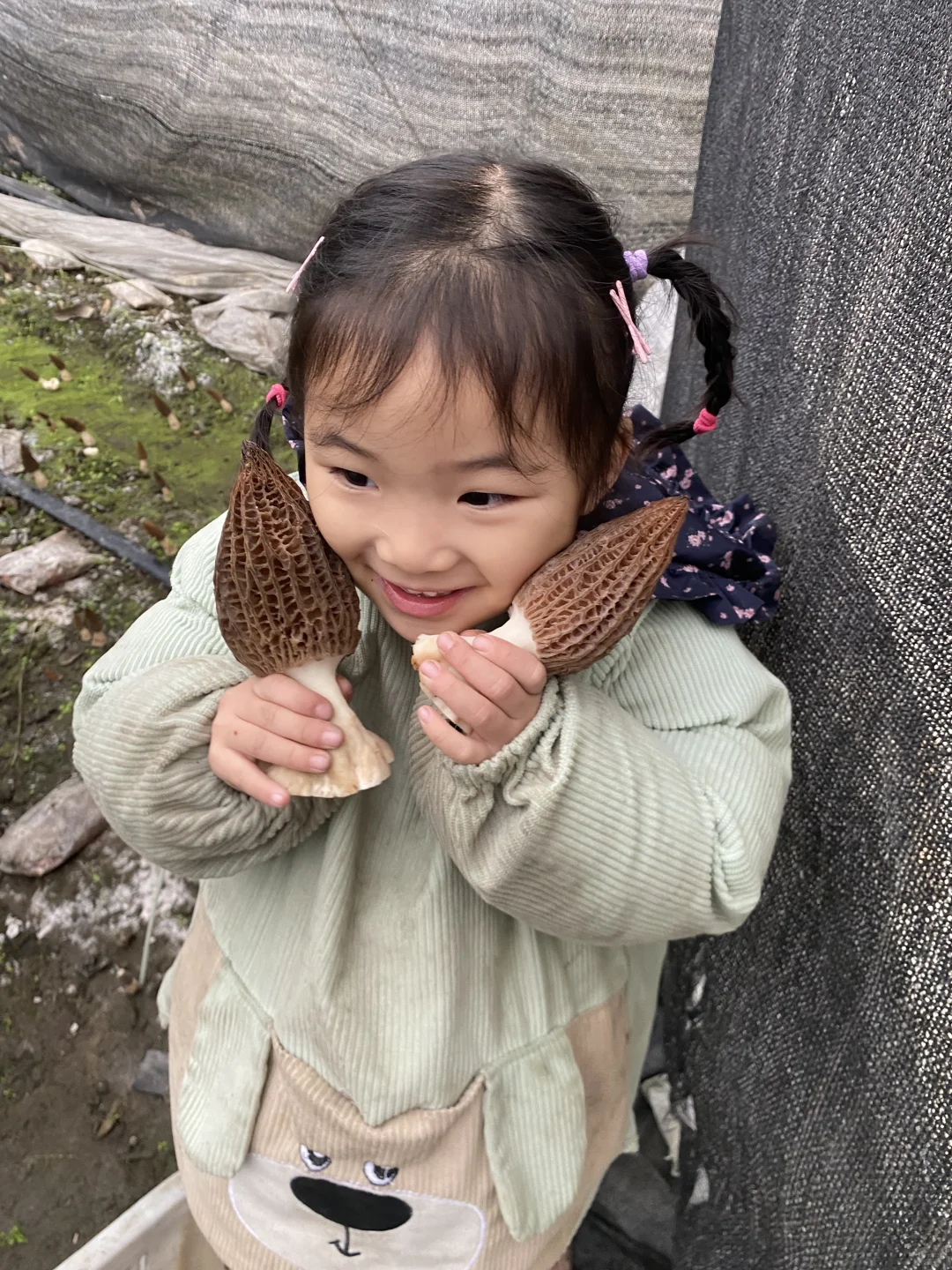 геǾ