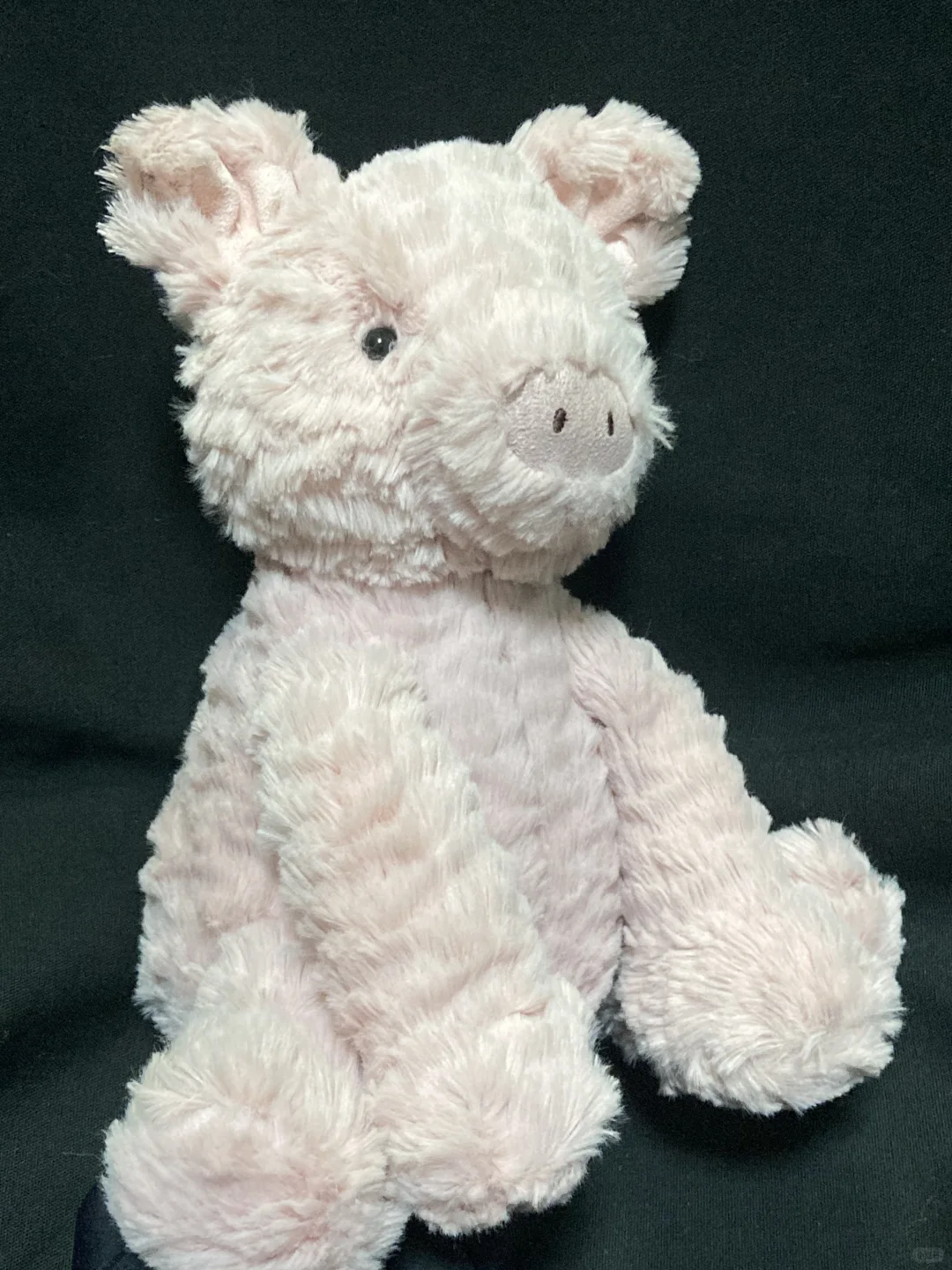 0Ԫģjellycat沨ëк