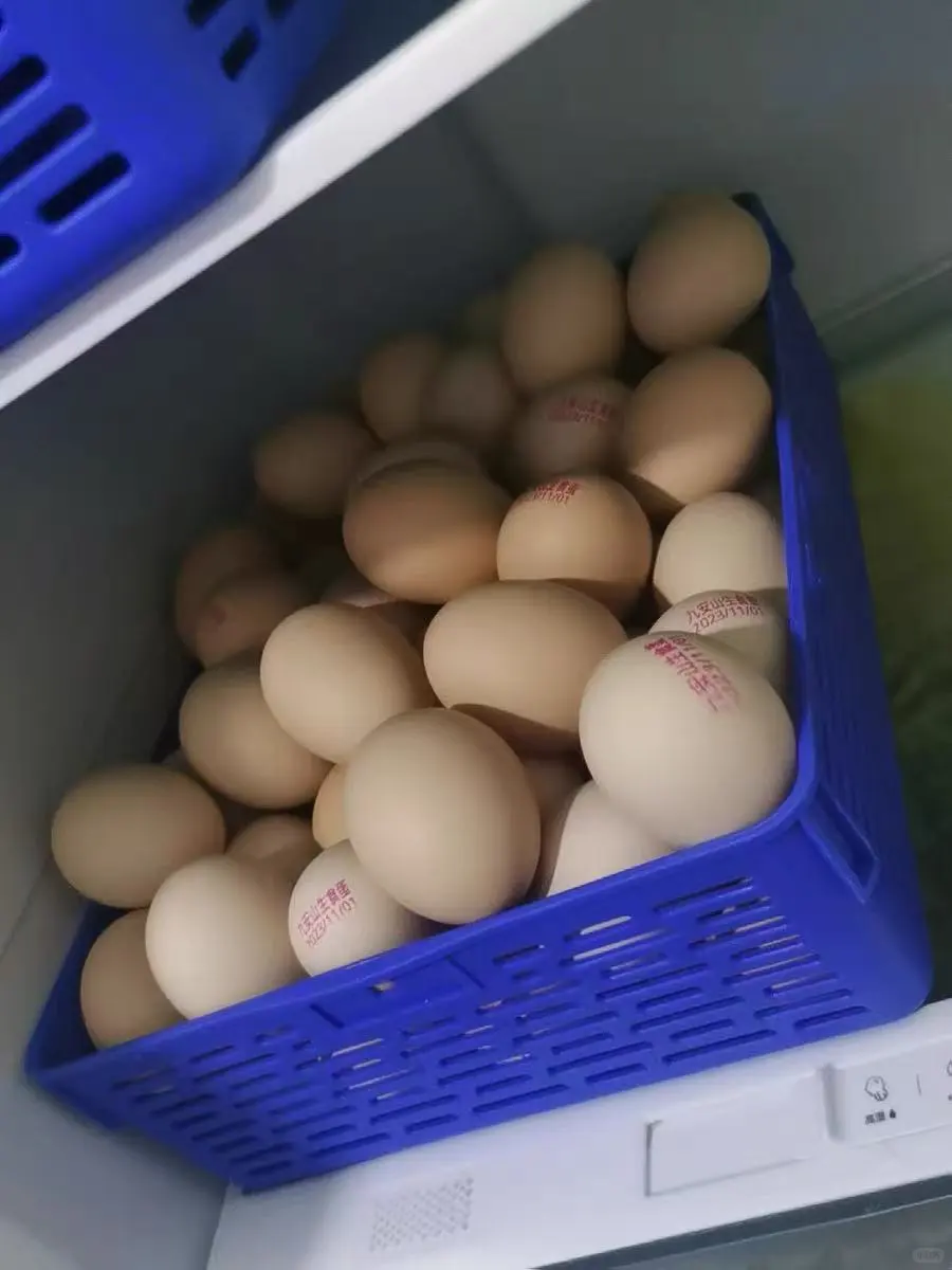 ͥ쵰