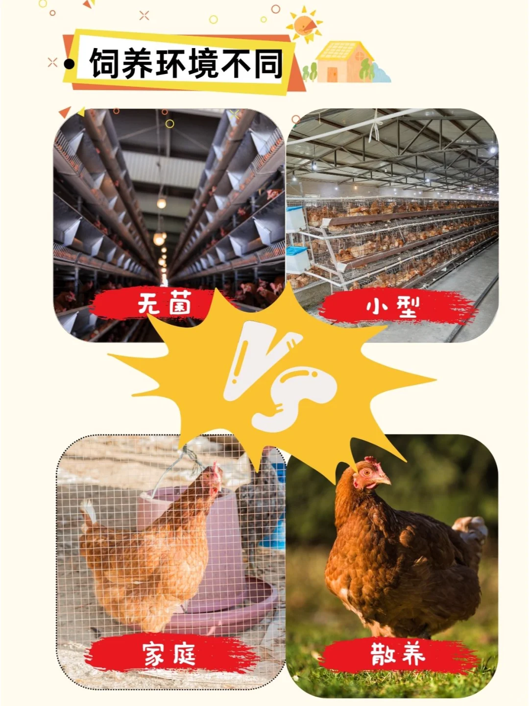 鸡蛋价格差别这么大?
