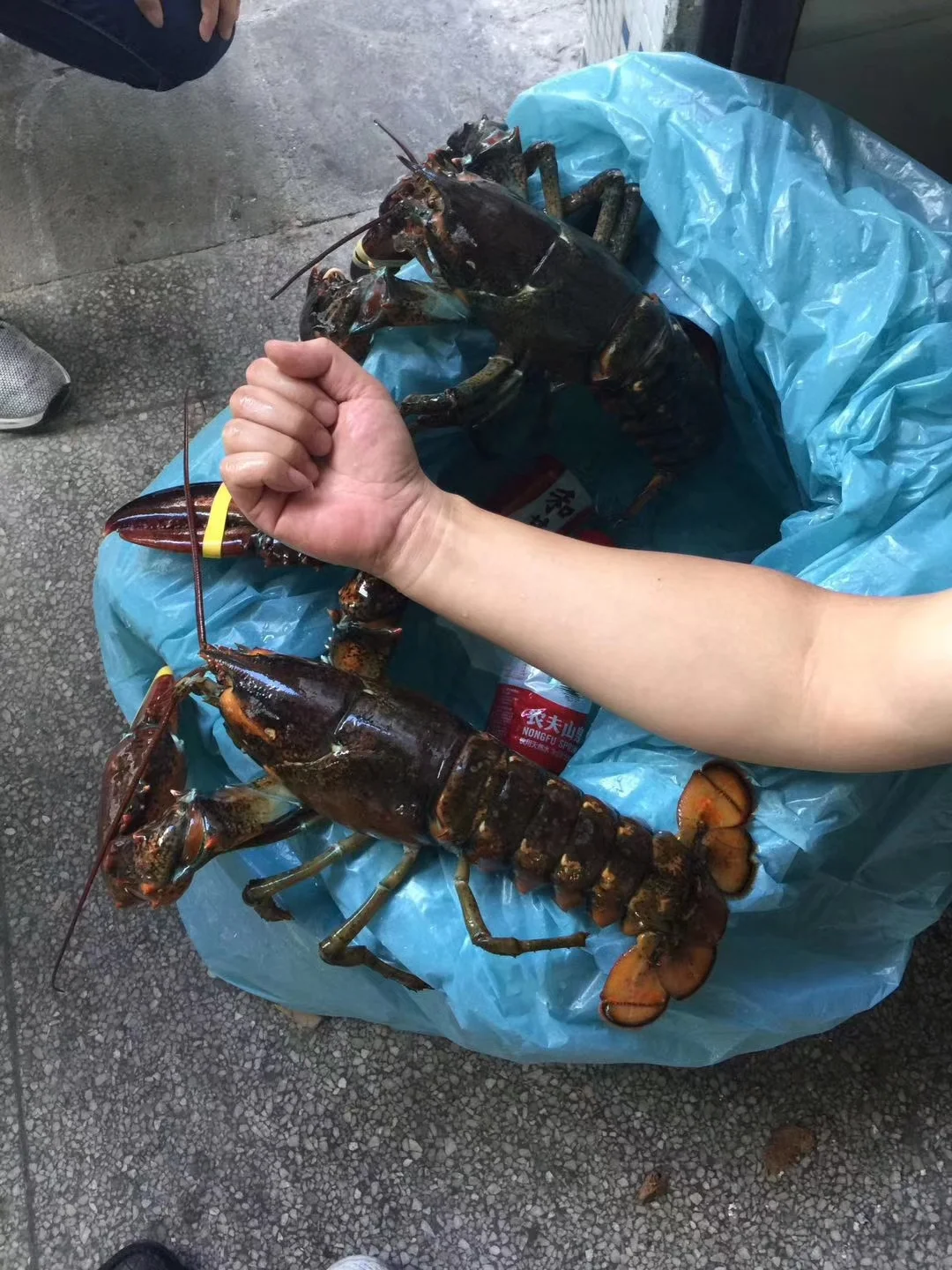 不赚钱还倒贴钱的生意，你会做吗