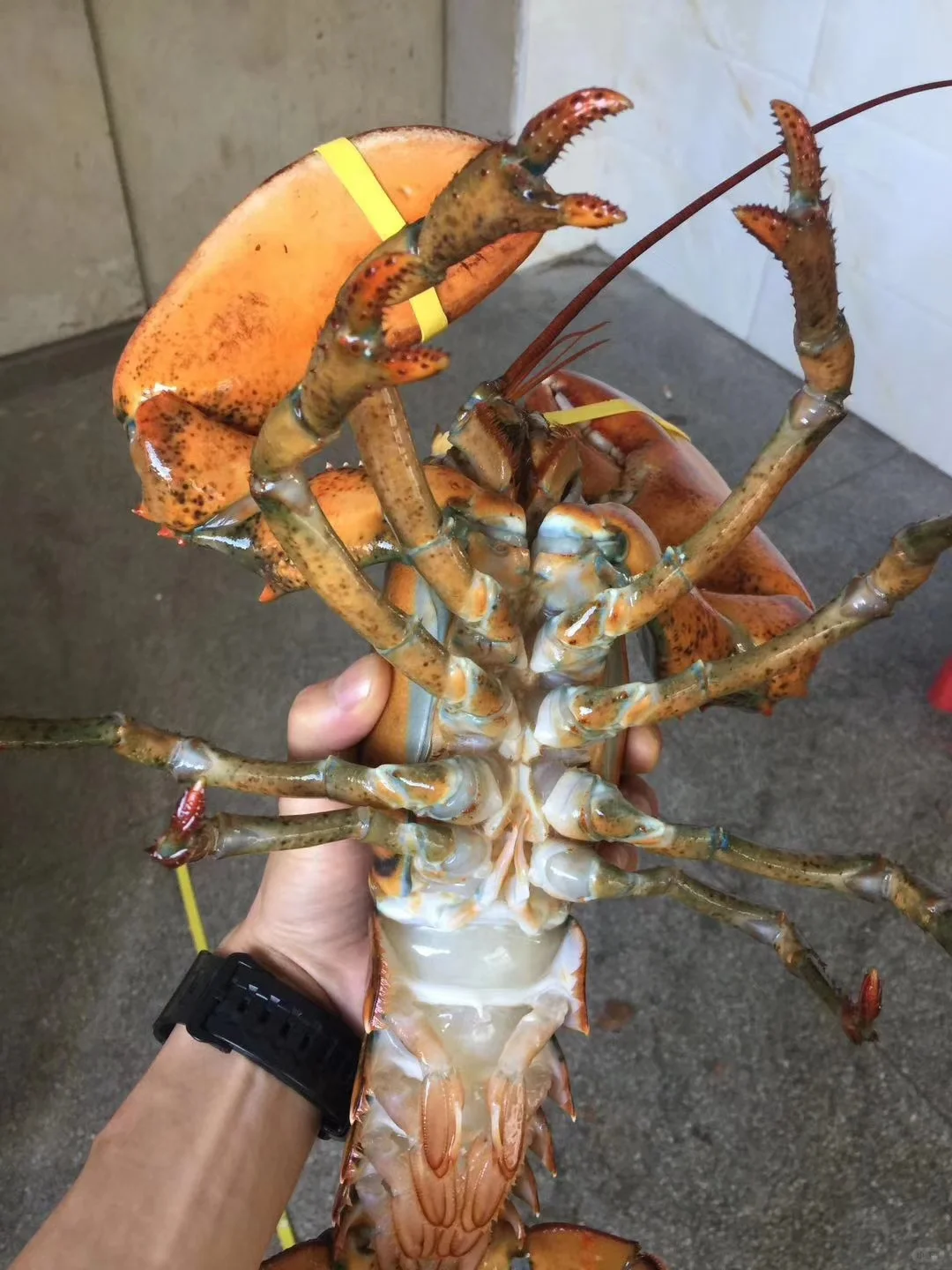 不赚钱还倒贴钱的生意，你会做吗