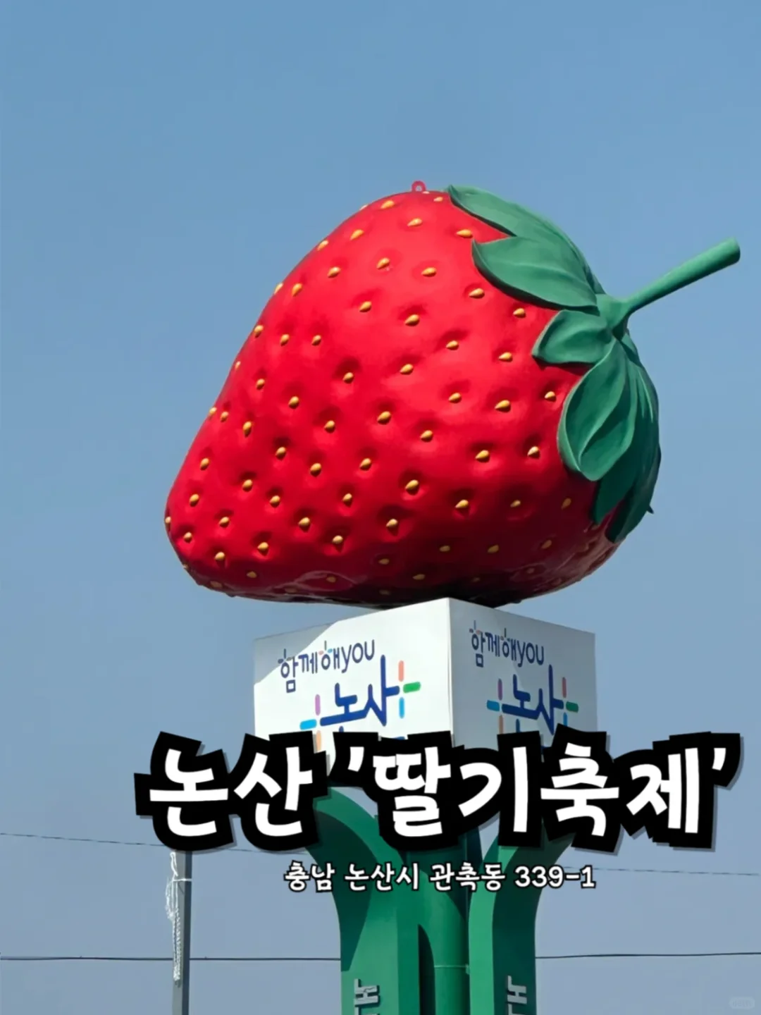 ĳյˮˣ2025.03.23