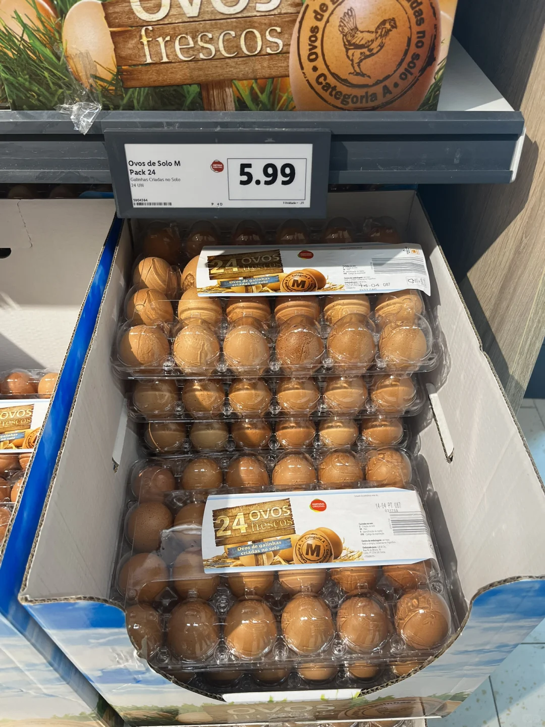 ??Ǽ