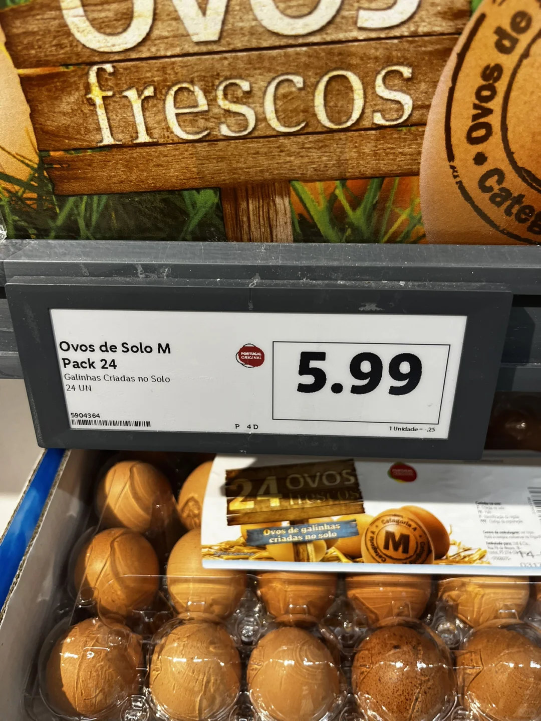 ??Ǽ