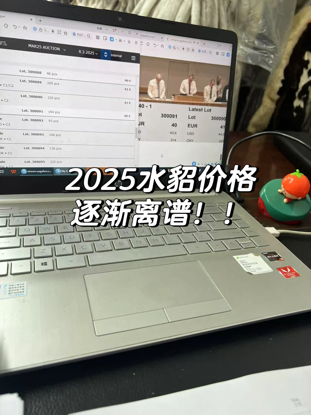 2025ˮ۸zui¶̬⼸Ƥ?
