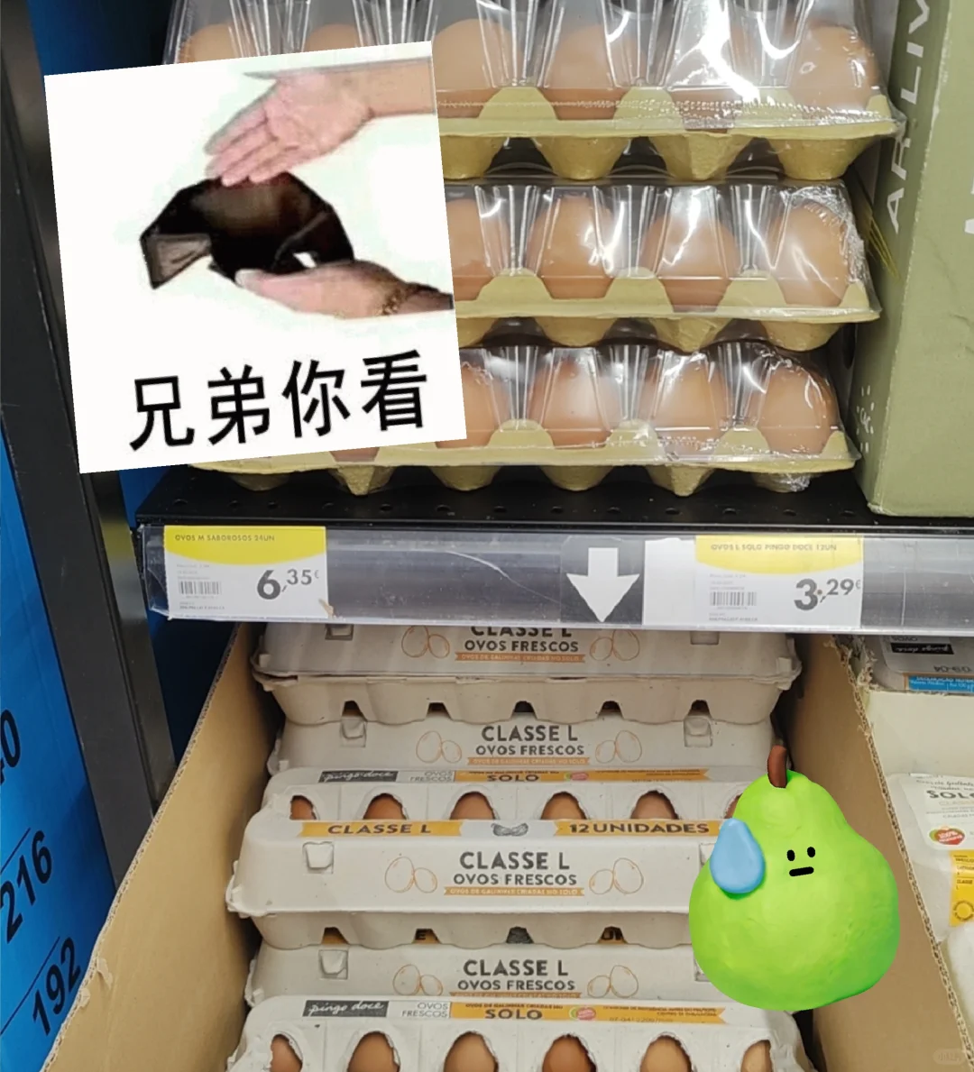 ??ļ۸