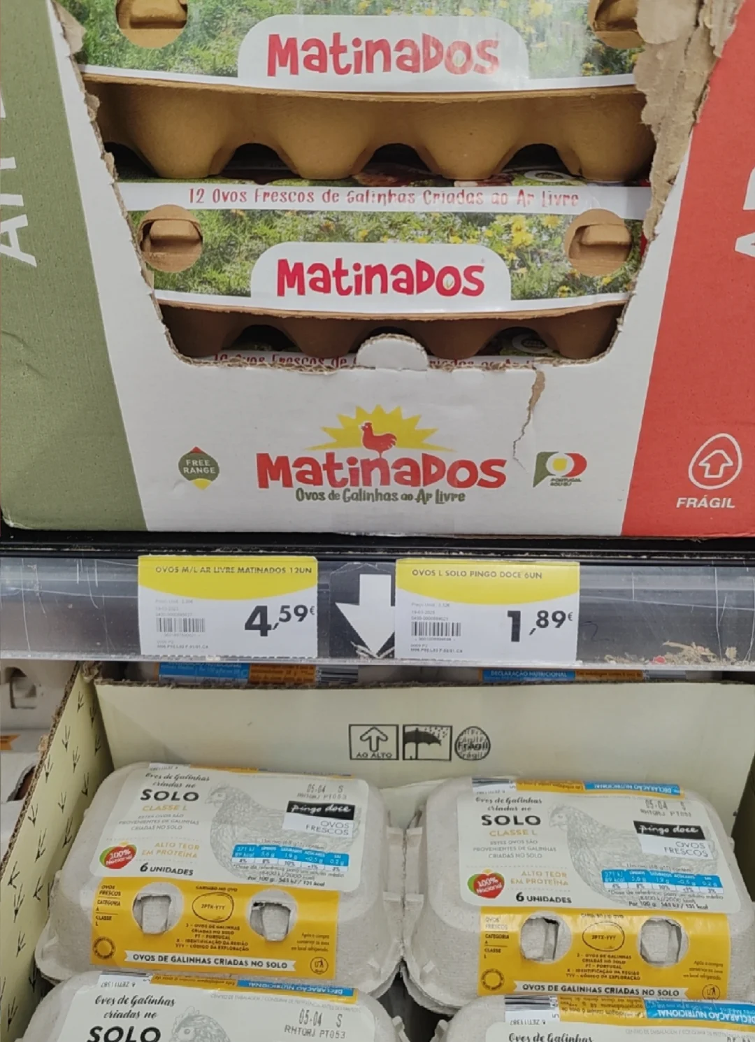 ??ļ۸