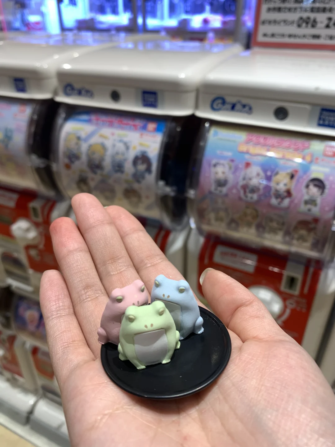 熊本熊的家乡！！皇家加勒比邮轮停靠在…