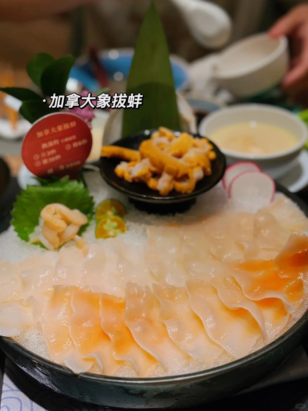 ʳƼŻ컨Эɻ?