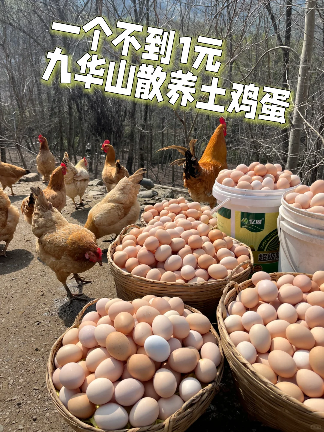 һ1Ԫ? µԳԼ