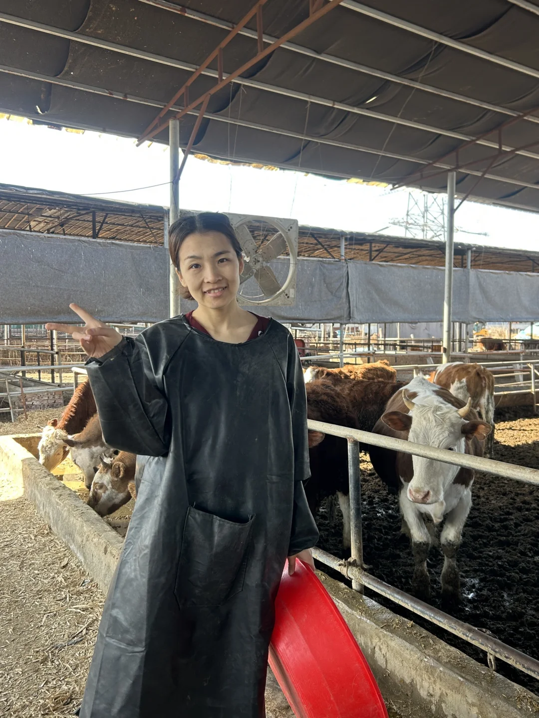 国产牛肉价格会受关税影响吗?