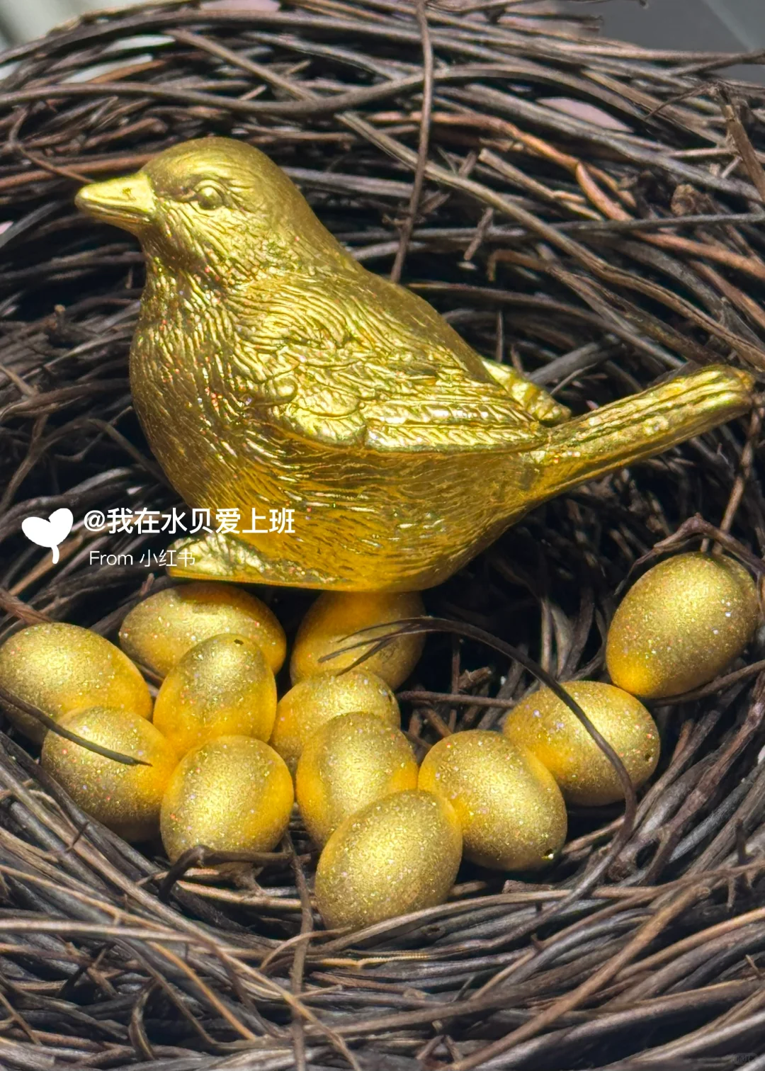 辛辛苦苦下的蛋，听说下午就涨价了?