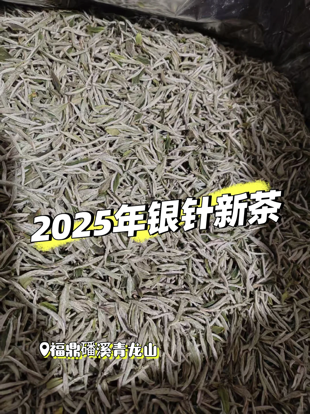 新茶好价,卖掉回本?人赚不到认知外的钱