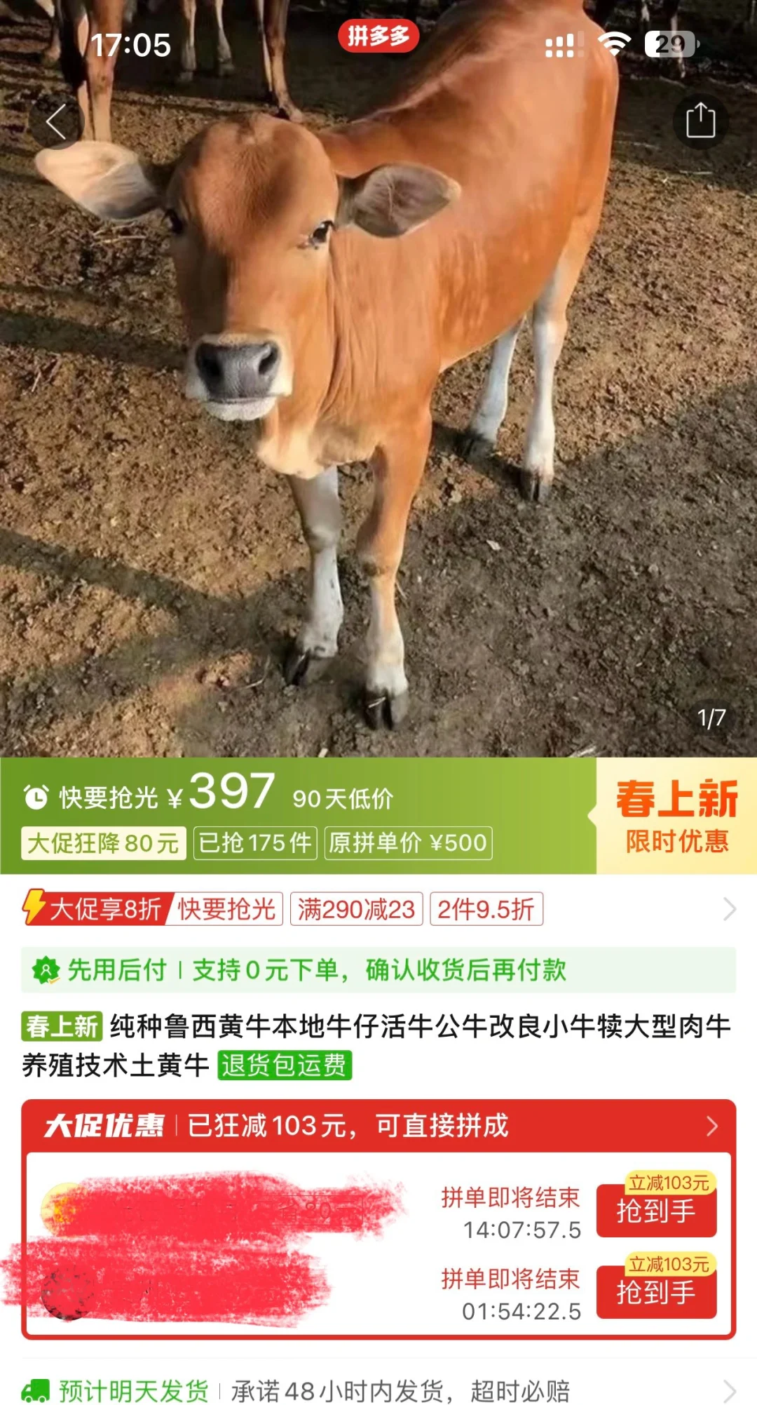 Ц