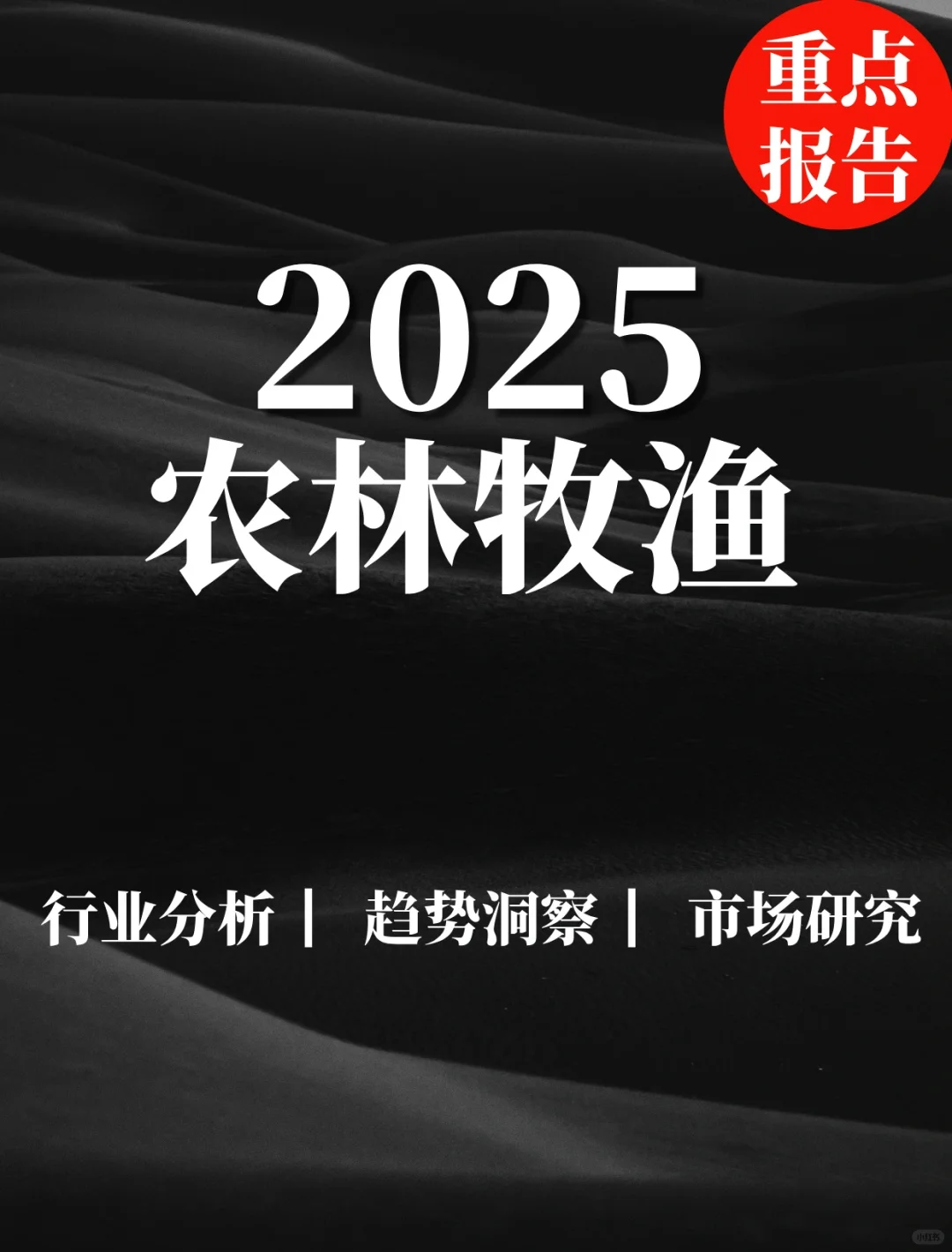ص㱨|2025ũҵڱ