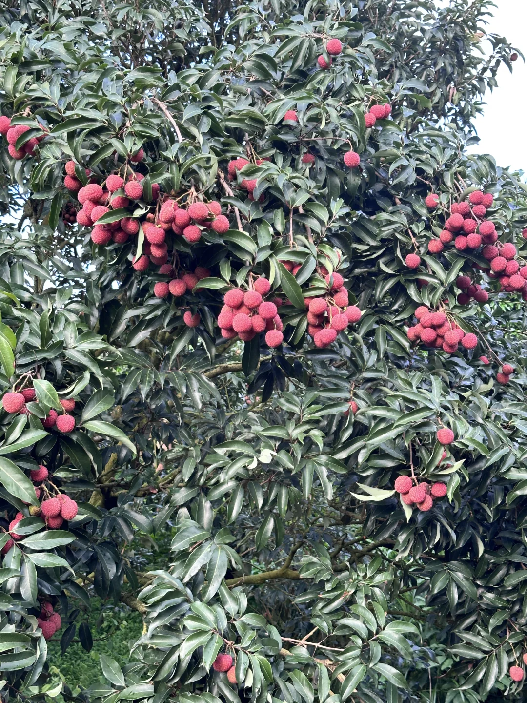 10Ǯ3ĲǼٵ