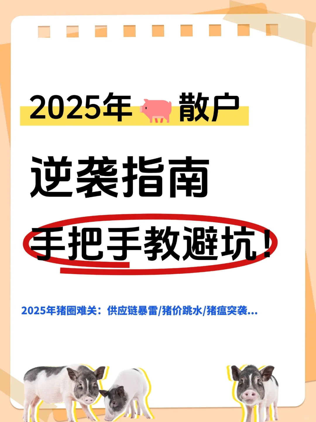 2025ɢ5