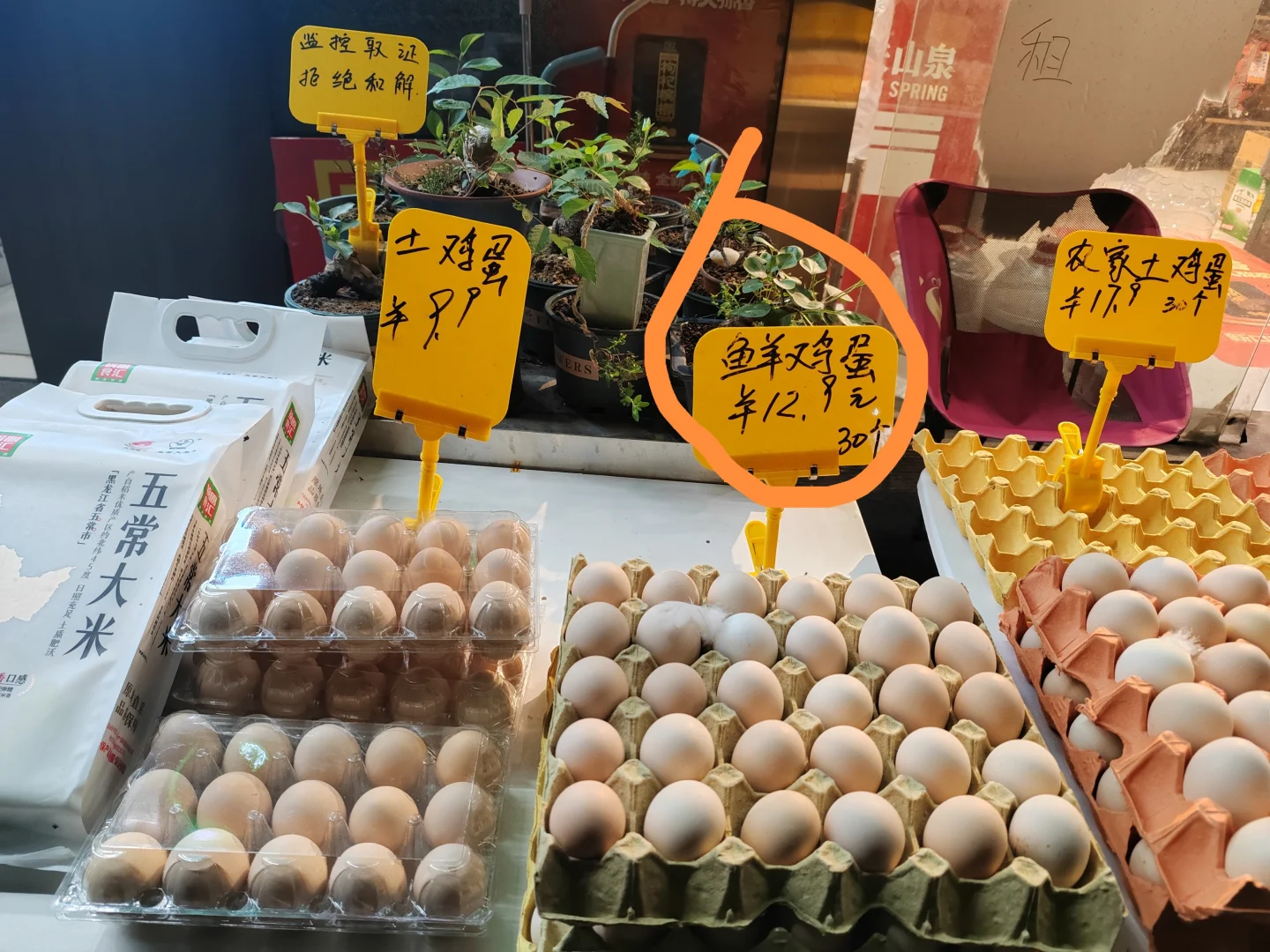 ļʲô۸