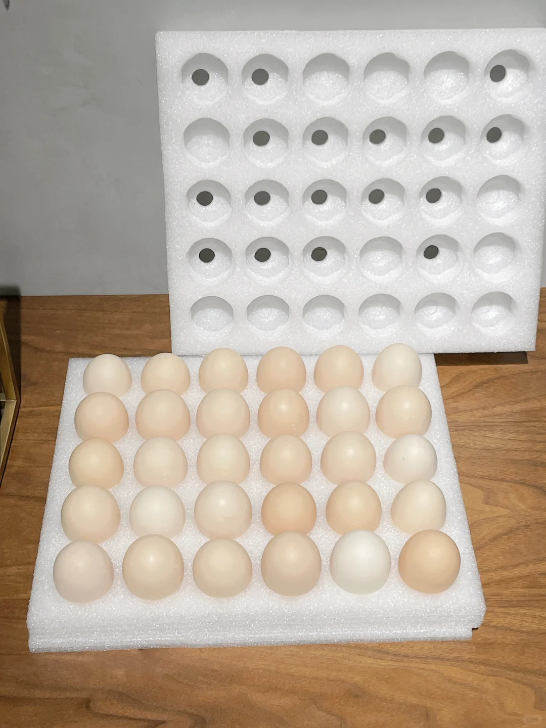 ë޶޶?Ȼô