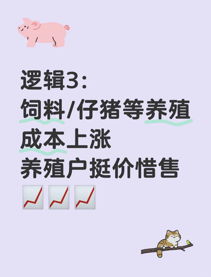 2509ڴԤ⣡