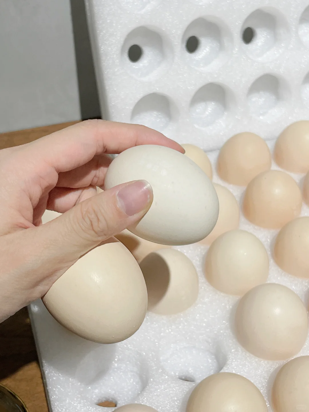 ë޶޶?Ȼô