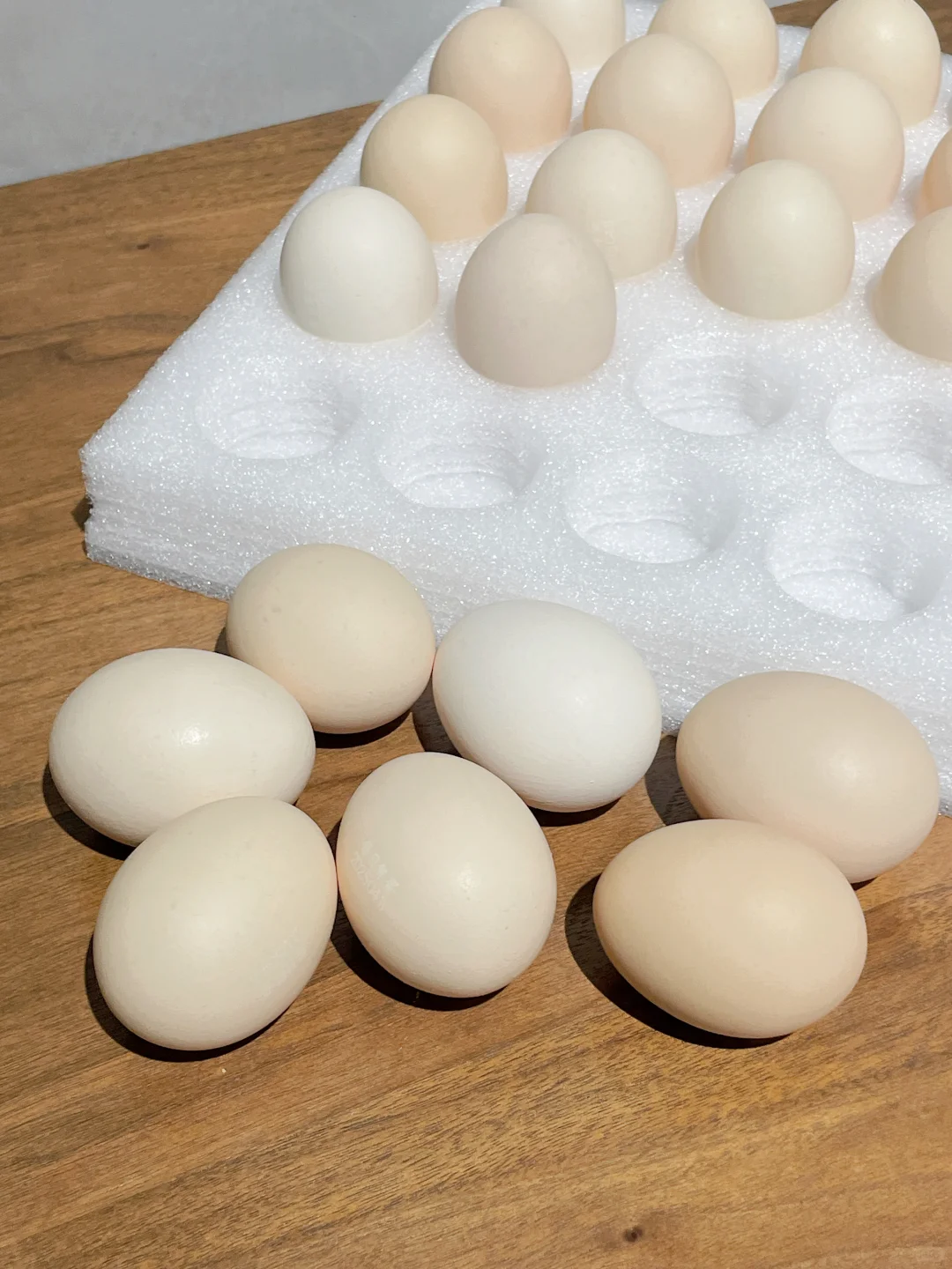 ë޶޶?Ȼô