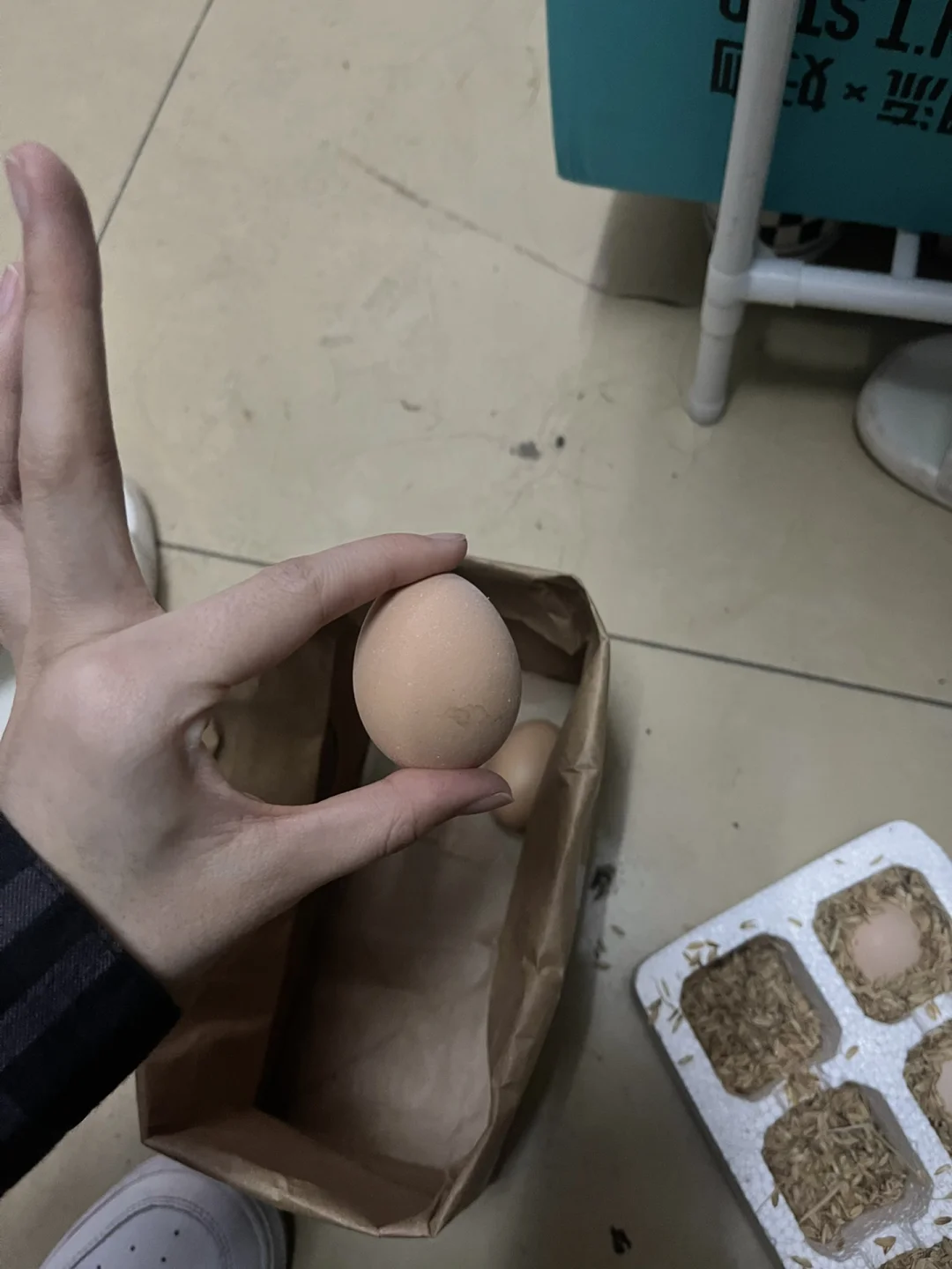 pddļжС?